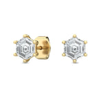 18K Solid Gold 1.00ct Hexagon Lab Grown Diamond Studs - Detail | Riyanika Jewels